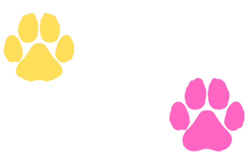 DSP(DreamSupplyPoint)